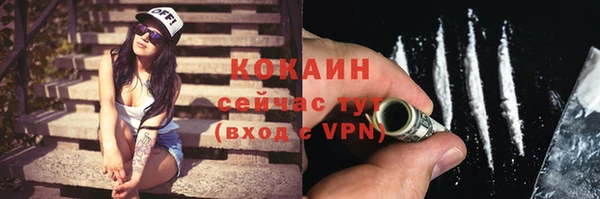 твердый Богородицк