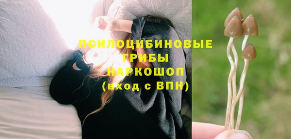 твердый Богородицк