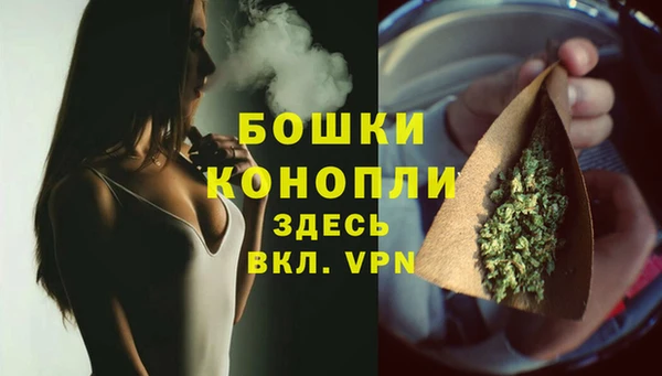 твердый Богородицк