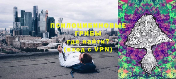 марки lsd Белокуриха