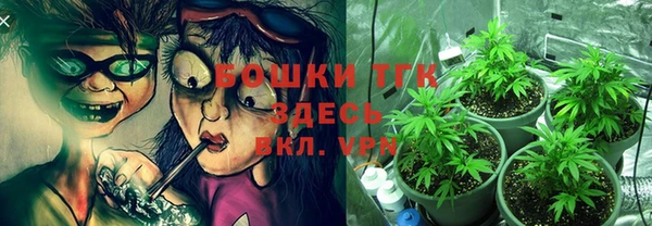 твердый Богородицк